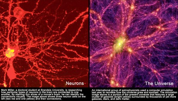neuron_univers.jpg